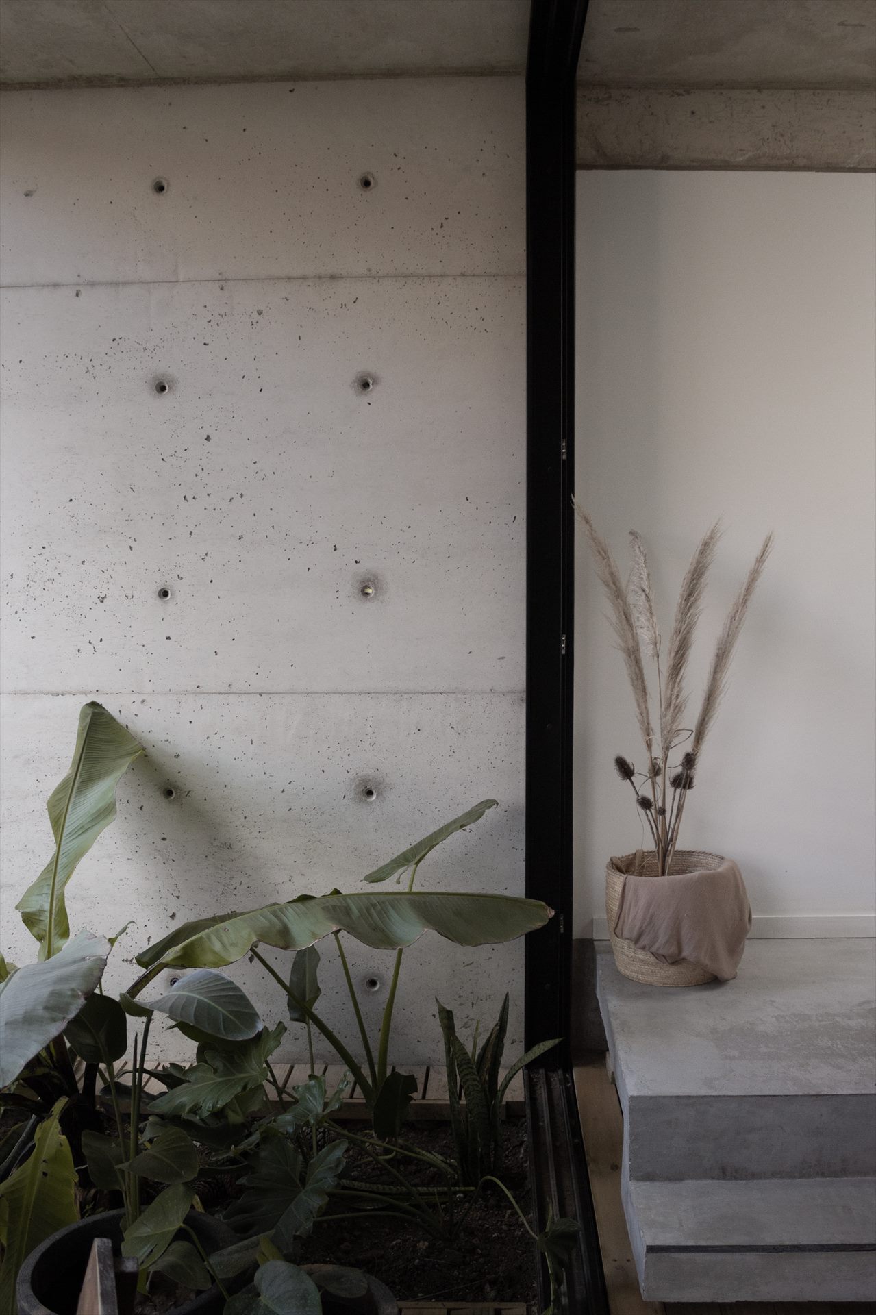 Casa Junco